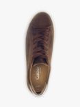 Gabor Camrose Wide Fit Suede Trainers, Cacao/Bronze