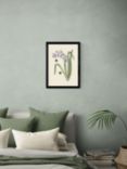 EAST END PRINTS Natural History Museum 'Bee & Hyacinth' Framed Print