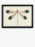 EAST END PRINTS Natural History Museum 'Dragonfly' Framed Print