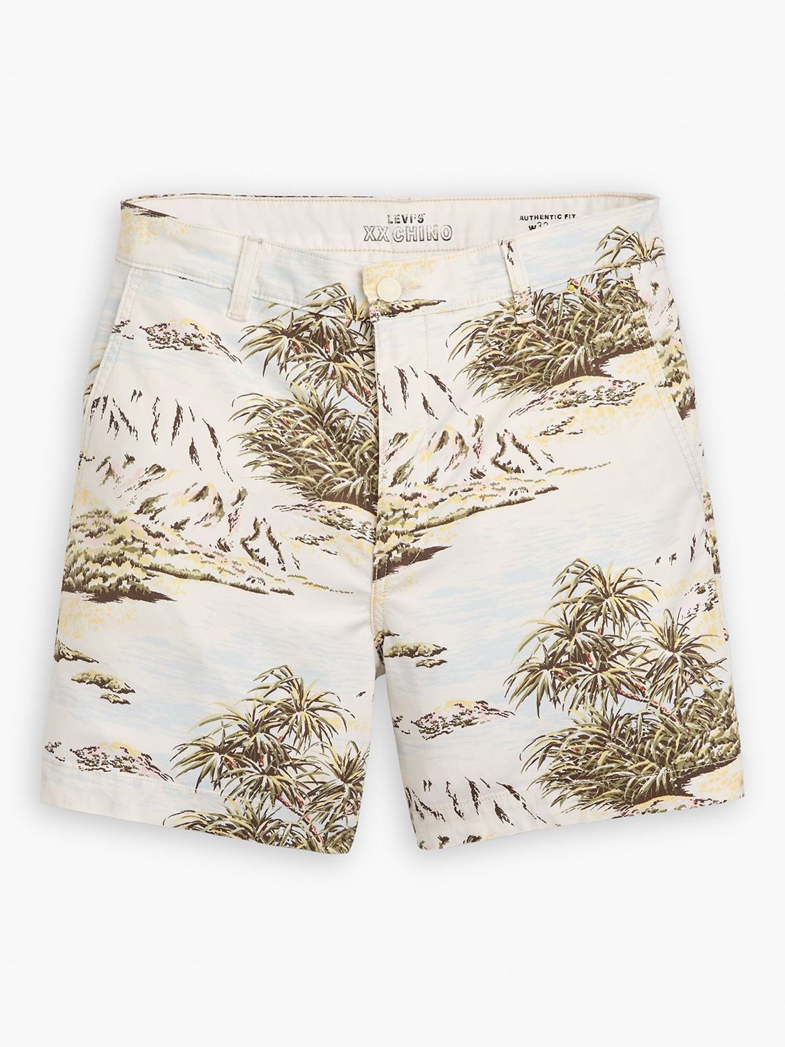 Levi's Authentic Shorts, Natural/Multi, 30R