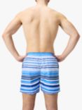 Speedo Faded Stripes Swim Shorts, Sevres Blue