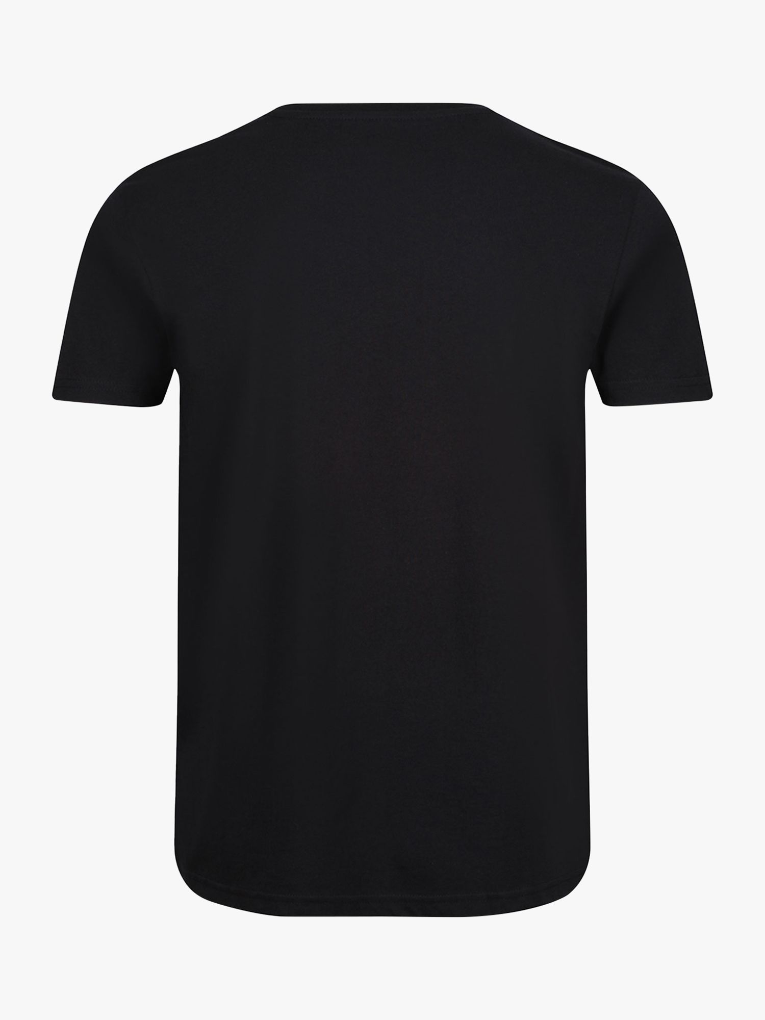 Alpha Industries Basic T-Shirt, Black/Gold, S