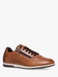 Geox Renan Trainers, Brown Cotto