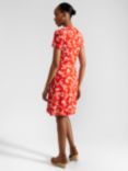 Hobbs Petite Lydia Floral Dress, Red/Ivory