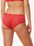 Triumph Delightful Spotlight Hipster Knickers