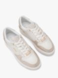 Carvela Charm Leather Embellished Trainers, White/Gold