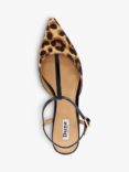 Dune Harler Leather Leopard Pointed Ballerina Pumps, Black/Multi