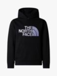 The North Face Kids' Drew Peak Hoodie