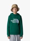 The North Face Kids' Drew Peak Hoodie, Green