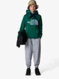 The North Face Kids' Drew Peak Hoodie, Green