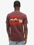 Superdry Basic T-Shirt, Rum Raisin Brown