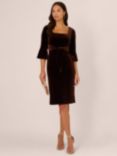 Adrianna Papell Velvet Tie Front Dress, Dark Brown