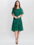 Gina Bacconi Annette Chiffon Dress, Green/Black