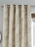 Laura Ashley Pussy Willow Pair Lined Eyelet Curtains, Off-white/Dove Grey