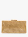 Paradox London Debra Embellished Box Clutch Bag, Champagne