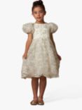 Angel & Rocket Embellished Tulle Kids' Dress, Green