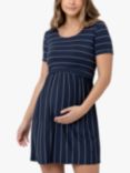 Ripe Stripe Maternity & Nursing Dress