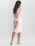 Gina Bacconi Pippa Beaded 3/4 Sleeve Dress, Antique Rose