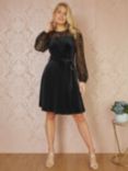 Yumi Velvet Lace Sleeve Skater Dress, Black