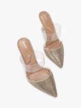 Carvela Passion Embellished Pointed Heeled Courts