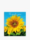Woodmansterne Sunflowers Thank You Cards, Pack of 8