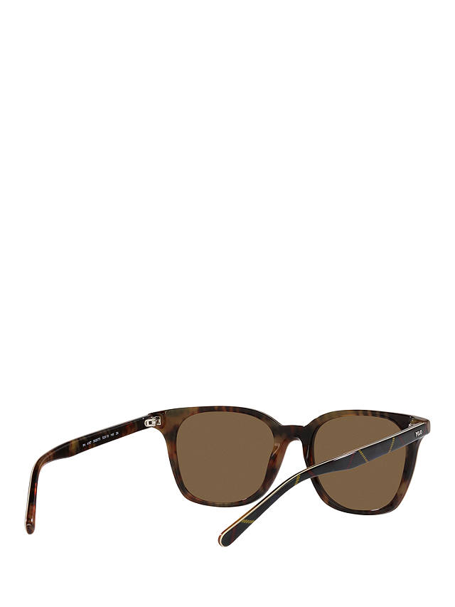 Polo Ralph Lauren PH4187 Men's Sunglasses, Shiny Dress Gordon/Brown