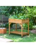 VegTrug Outdoor Herb Garden Planter, FSC-Certified (Cedar Wood), Natural