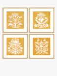 Ellen Merchant - 'Coreopsis' Framed Print & Mount, Set of 4, 42 x 42cm, Yellow