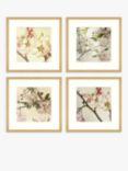 Print Punk Studio - 'Vintage Blossom' Framed Print & Mount, Set of 4, 32 x 32cm, Multi