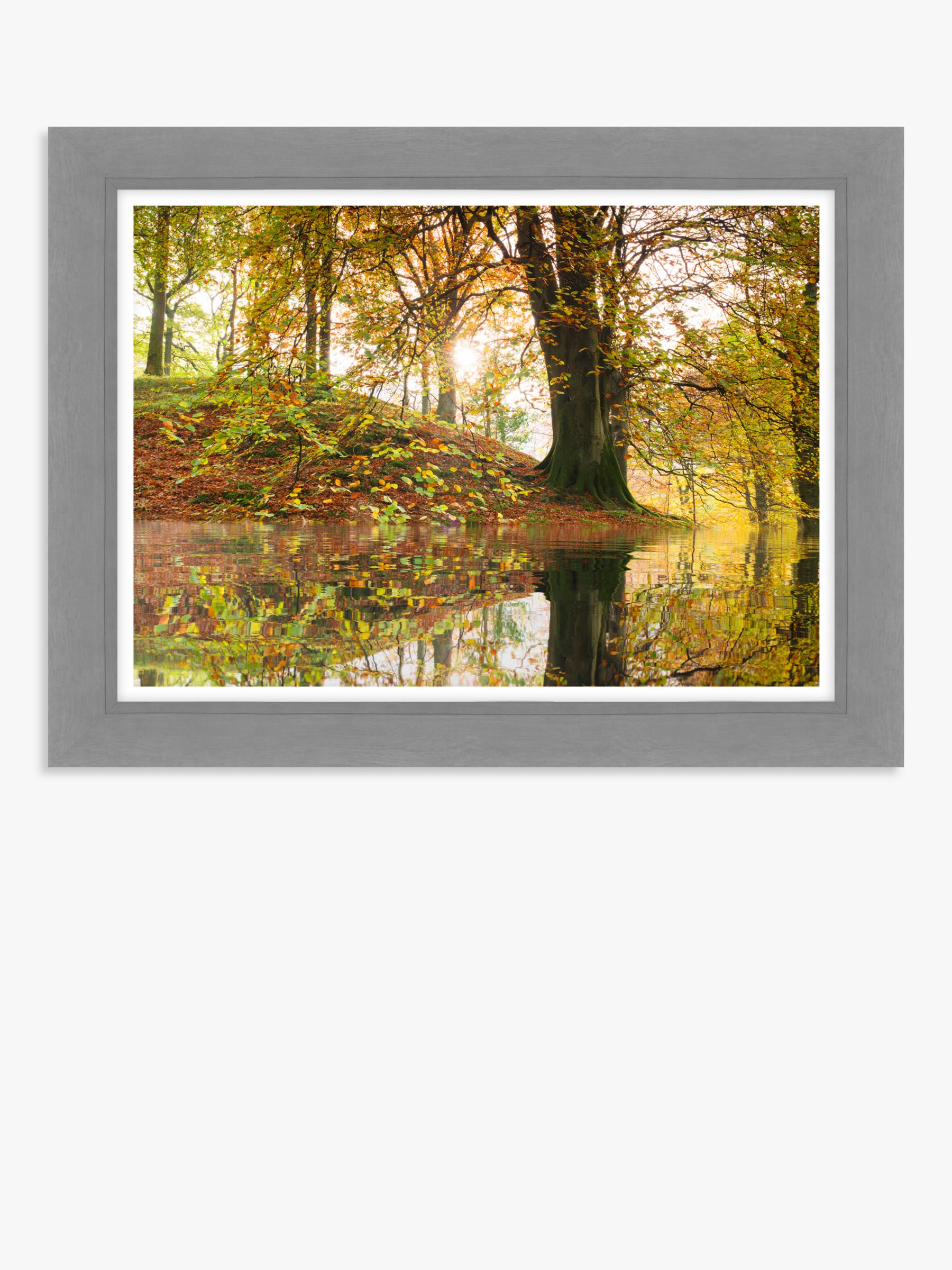 John Lewis Mike Shepherd 'Woodland Reflection' Framed Print, 63 x 83cm, Yellow/Multi