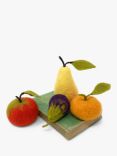 The Crafty Kit Company Fruit Needle Felting Kit
