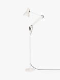 Anglepoise + Paul Smith Type 75 Floor Lamp, Edition 6