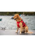 Red Dog Buoyancy Aid