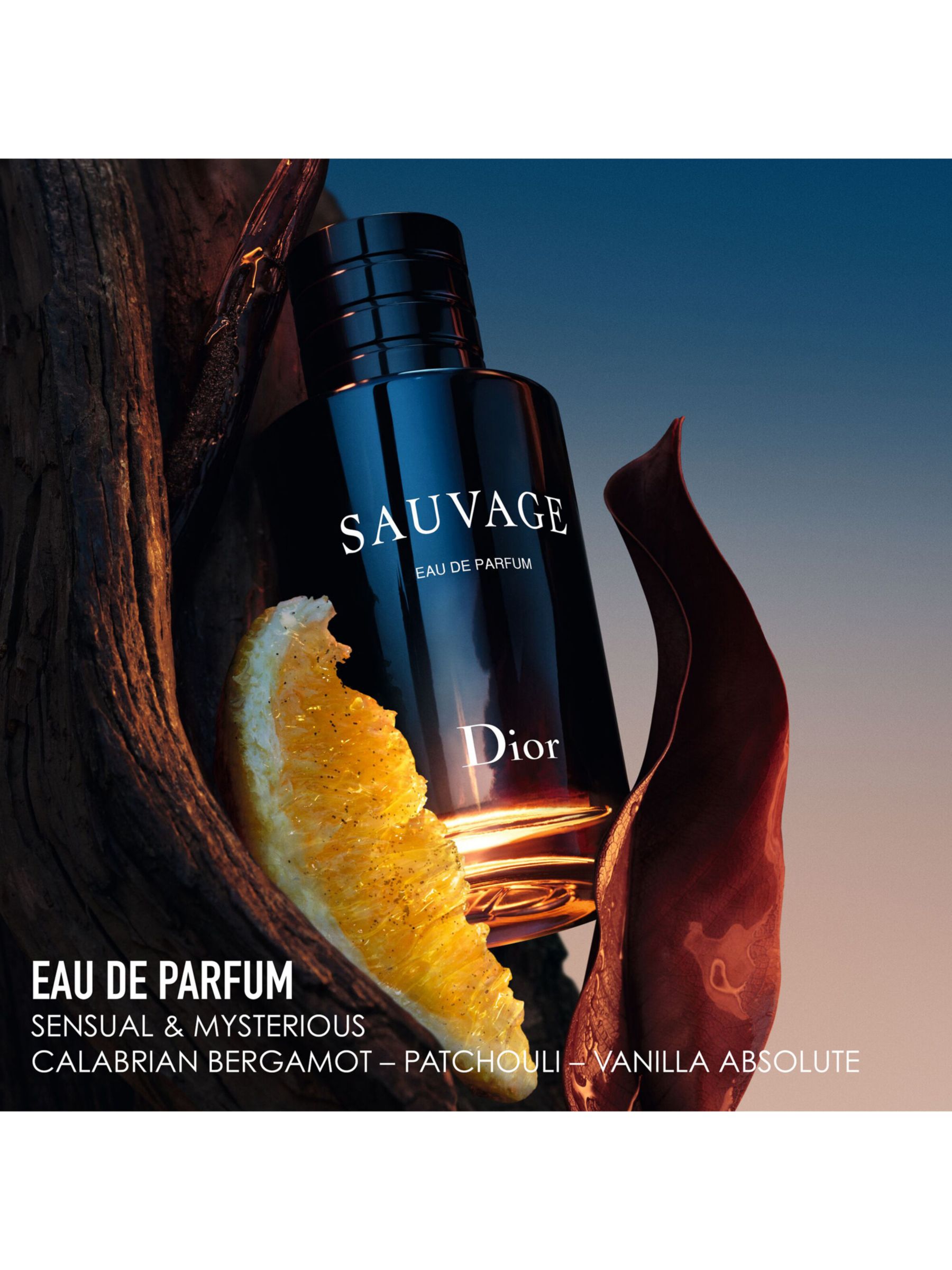 DIOR Sauvage Eau de Parfum Refill, 300ml 4