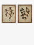One.World Leaf Wood Framed Print, Set of 2, 53.8 x 42cm, Brown/Multi
