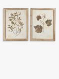 One.World Leaf Wood Framed Print, Set of 2, 53.8 x 42cm, Brown/Multi