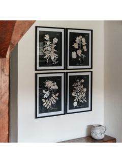 One.World Botanical Wood Framed Print & Mount, Set of 4, 64 x 50cm, Black/Multi