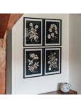 One.World Botanical Wood Framed Print & Mount, Set of 4, 64 x 50cm, Black/Multi