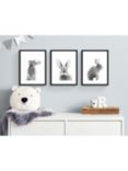 John Lewis Bunnies Photo Wall Art Gallery Set, Set of 3, 30 x 40cm