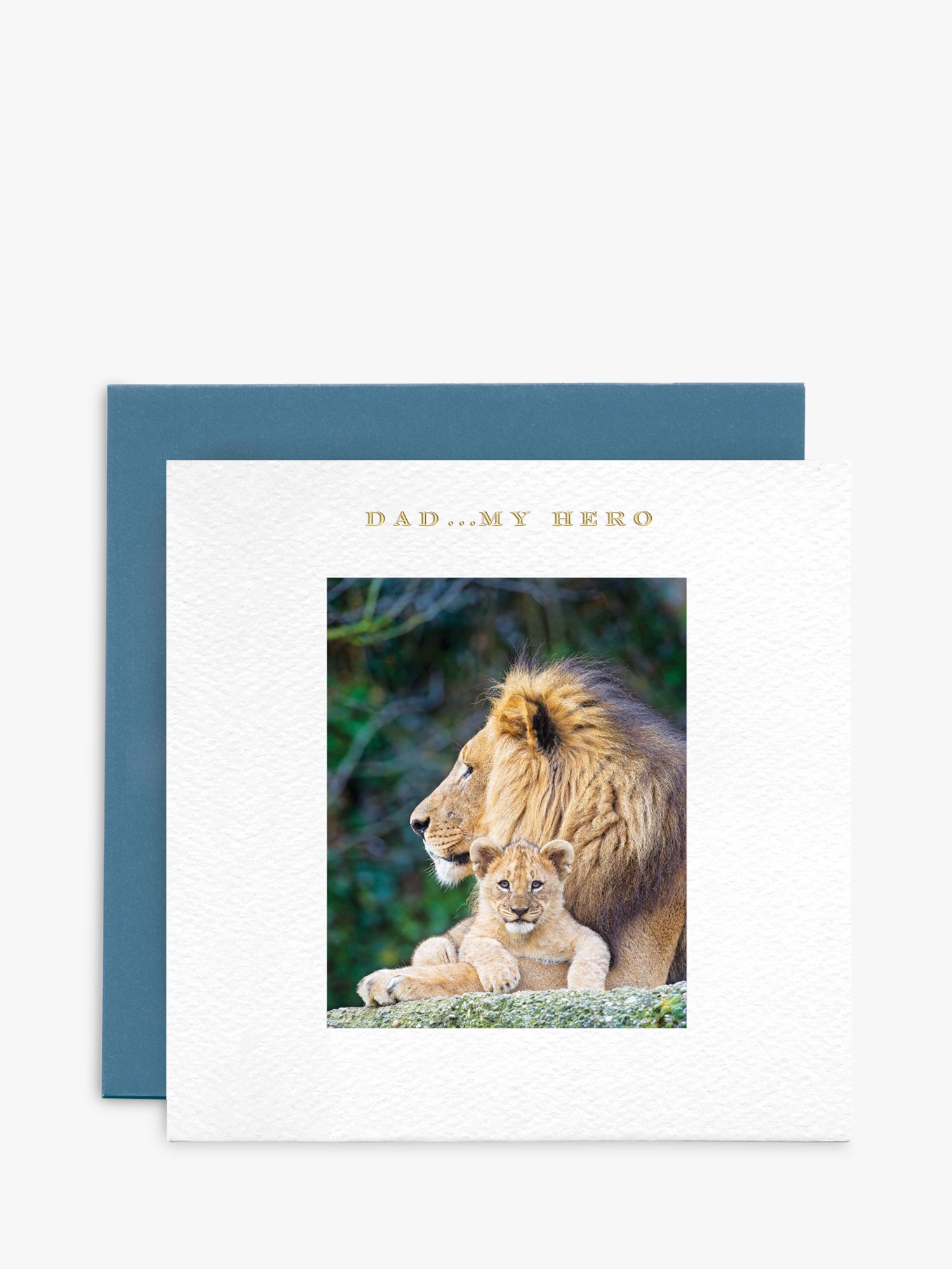 Susan O'Hanlon Hero Lion & Cub Dad Father's Day Card