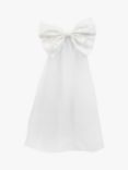 Talking Tables Hen Party Bow and Veil