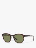 Armani Exchange AR8170 Men's Round Sunglasses, Brown