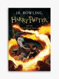 Harry Potter and the Half Blood Prince Kids' Book