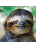 Woodmansterne Zen Sloth Blank Greeting Card