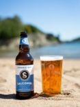 Salcombe Brewery Co. Beer with Glass Gift Pack, 2x 500ml