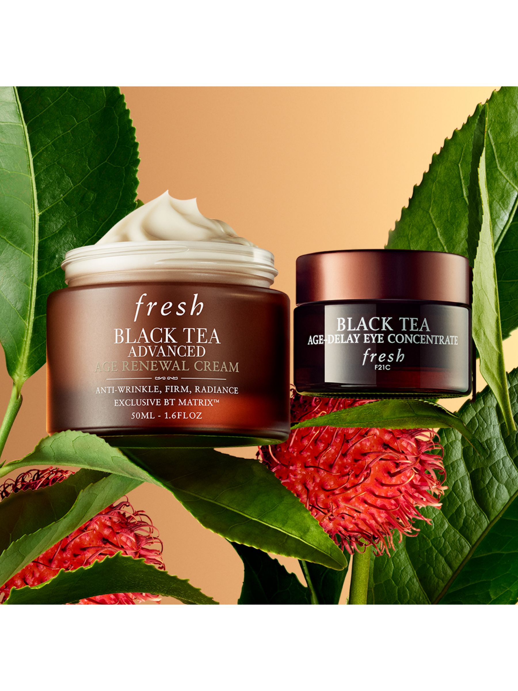Fresh Black Tea Advanced Age Renewal Cream, 50ml 5