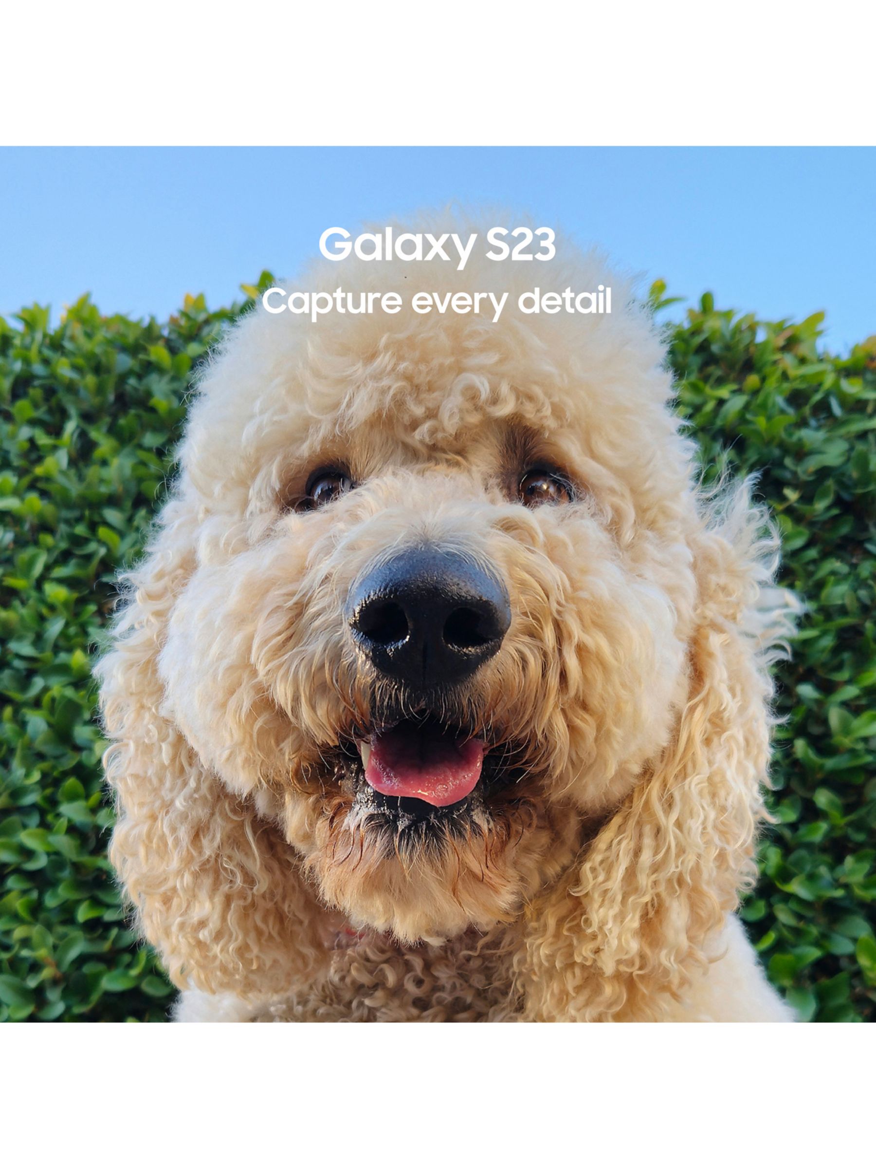 SAMSUNG Galaxy S23 5G SM-S911B/DS 256GB 8GB RAM, 50 MP Camera, Factory  Unlocked – Green : Cell Phones & Accessories, s 23 256gb 