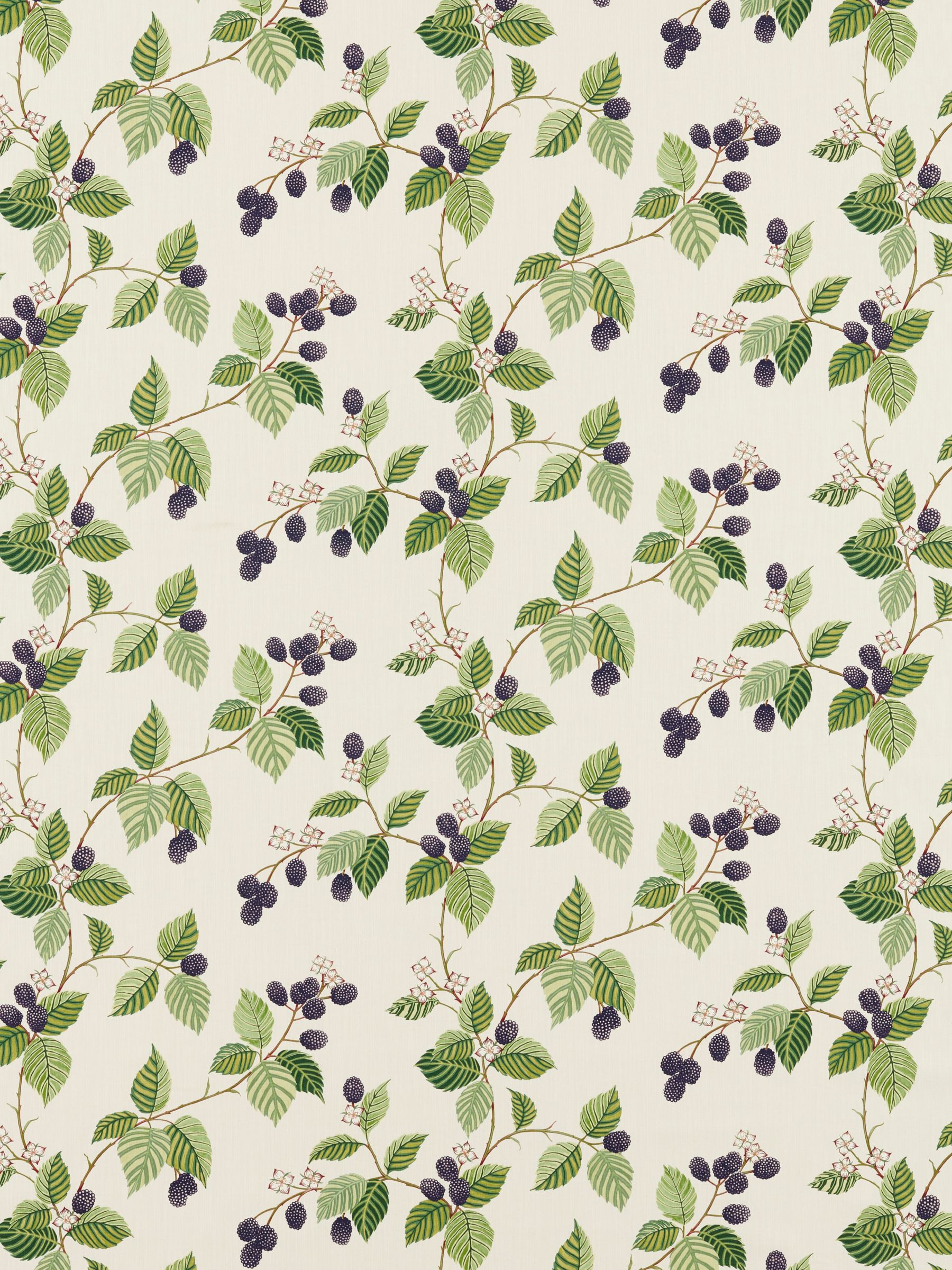 Sanderson Rubus Furnishing Fabric, Blackberry