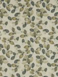 Clarke & Clarke Northia Furnishing Fabric, Olive/Peacock