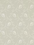 Colefax and Fowler Felicity Wallpaper, W7009/01